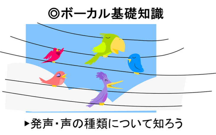 ボーカル基礎知識 発声 声の種類について知ろう